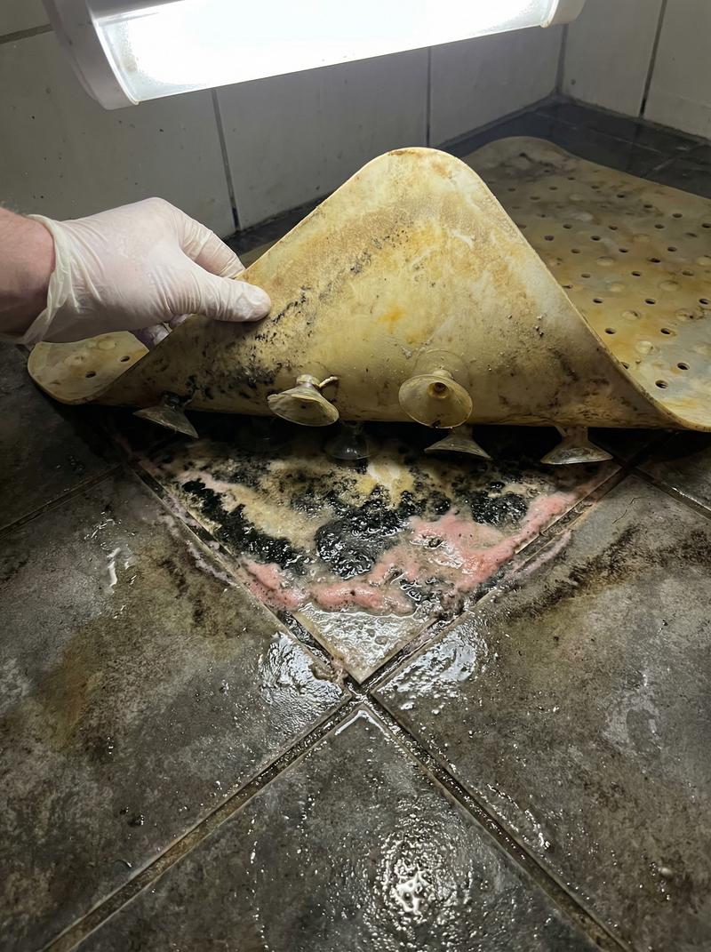 Mould underneath a traditional shower mat